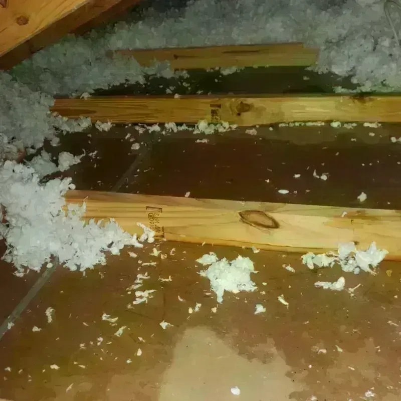 Attic Water Damage in Winthrop, MN