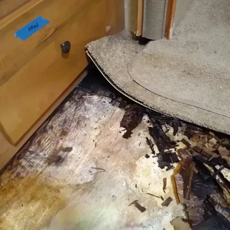 Wood Floor Water Damage in Winthrop, MN